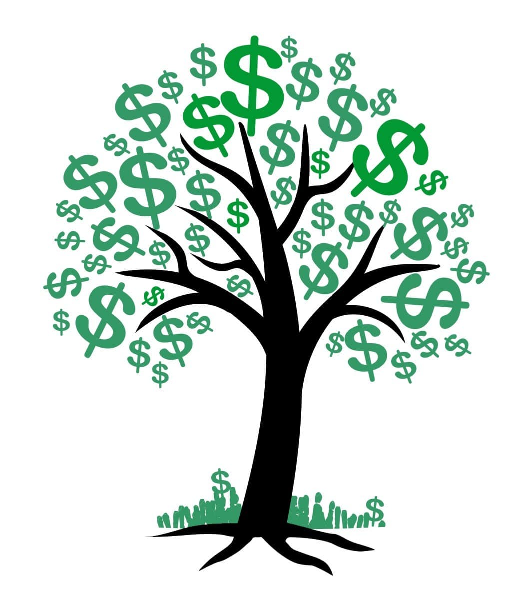 Planting your wealth tree