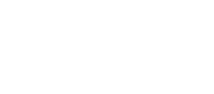 FMG White Logo